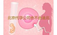 北京代孕公司合不合法北京供卵试管婴儿医院‘24三维彩超男女’