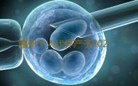 温州个人代怀产子2023温州试管婴儿医院排名‘孕囊和胎芽怎么看男女’