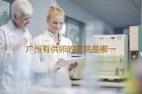 广州有供卵的医院是哪一家,2023广州做供卵三代试管能包生儿子吗-当归补血汤